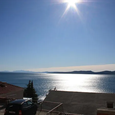 Seagull View *